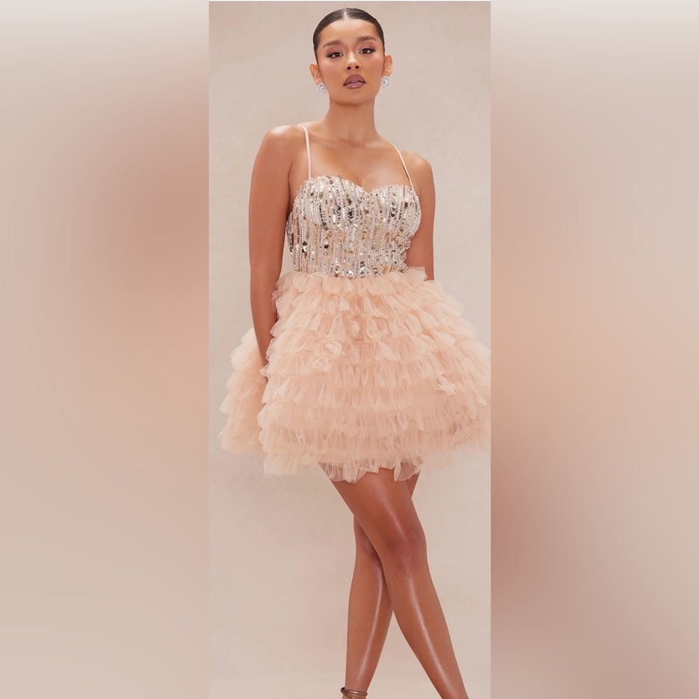NWT- Sequin and Tulle Mini Dress